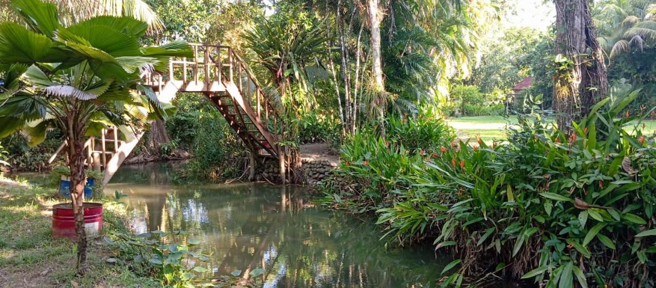 Casa Caribe Hotel Rio Dulce Bagian luar foto